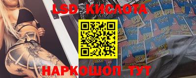 mdpv Гулькевичи