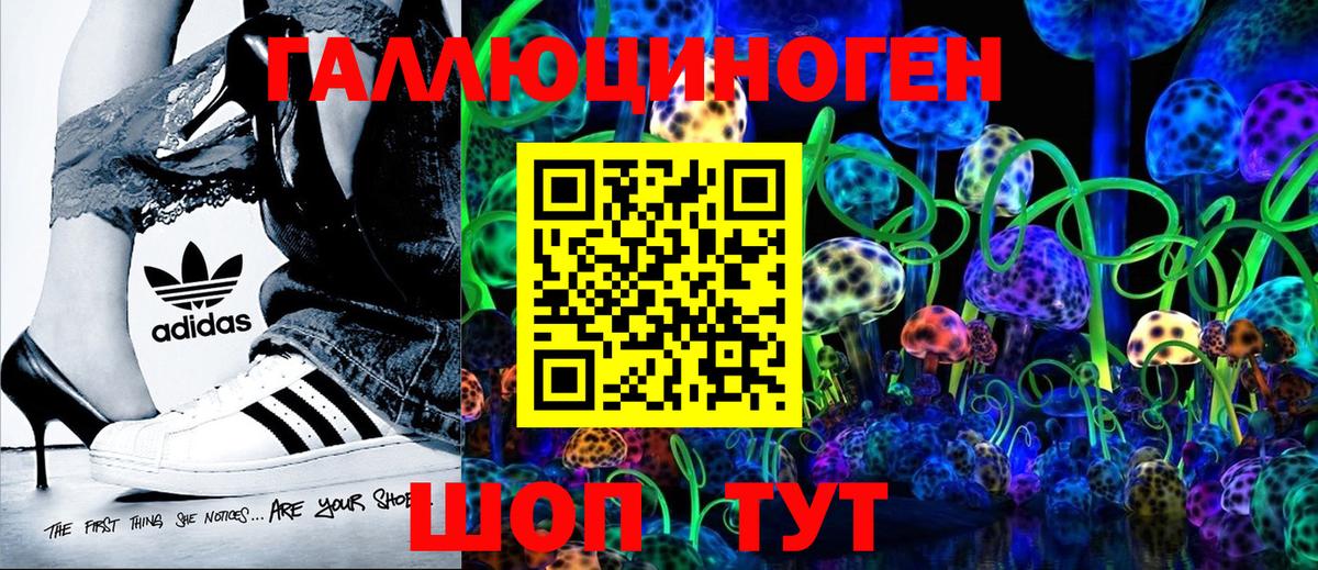 Псилоцибиновые грибы Psilocybe Ейск