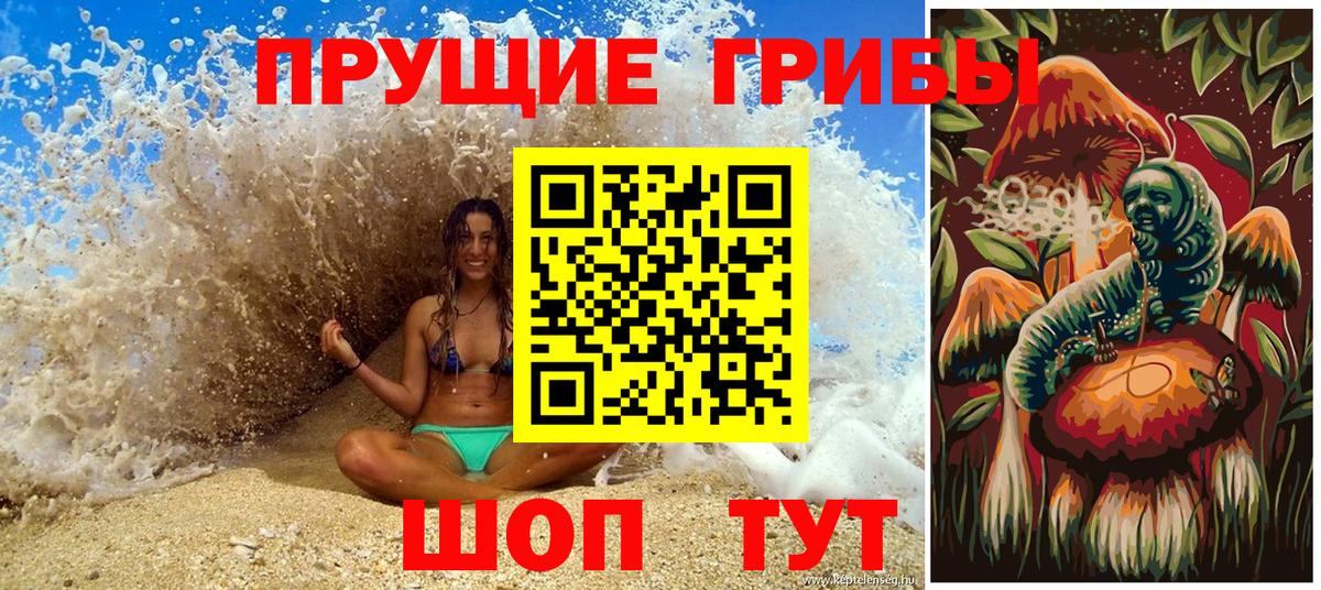Ейск  Псилоцибиновые грибы Psilocybe  Вход с VPN  Псилоцибиновые грибы прущие грибы 